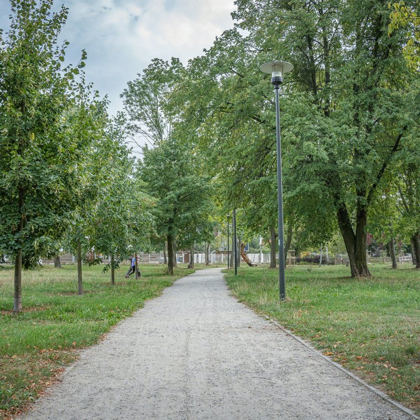 Ścieżka w parkuz latarniami i drzewmi wzdłuż niej.